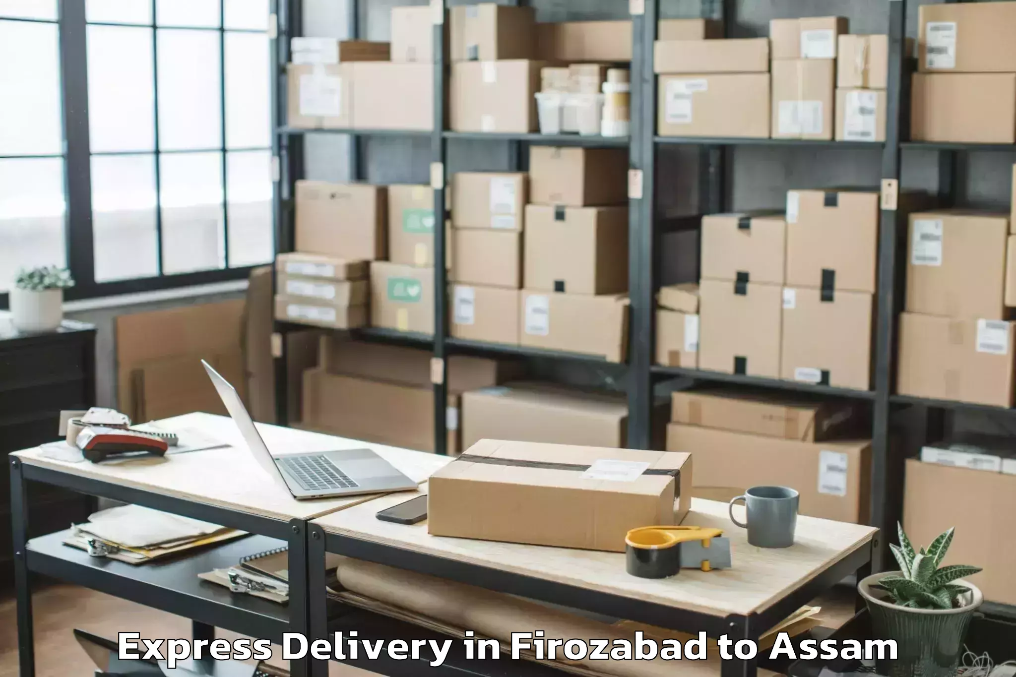 Book Firozabad to Demow Express Delivery